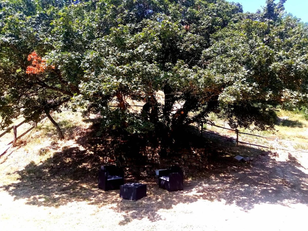 Locanda Di Alberi Borgo San Lorenzo Extérieur photo