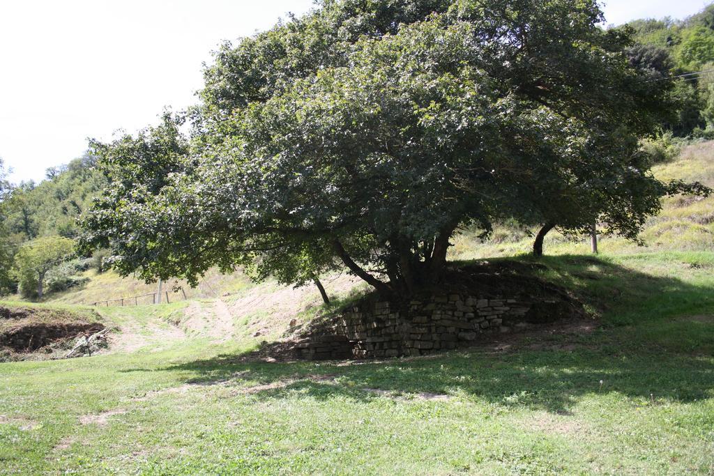 Locanda Di Alberi Borgo San Lorenzo Extérieur photo